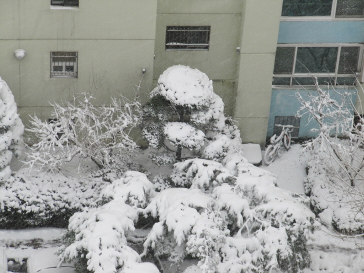 spring_snow_02.jpg